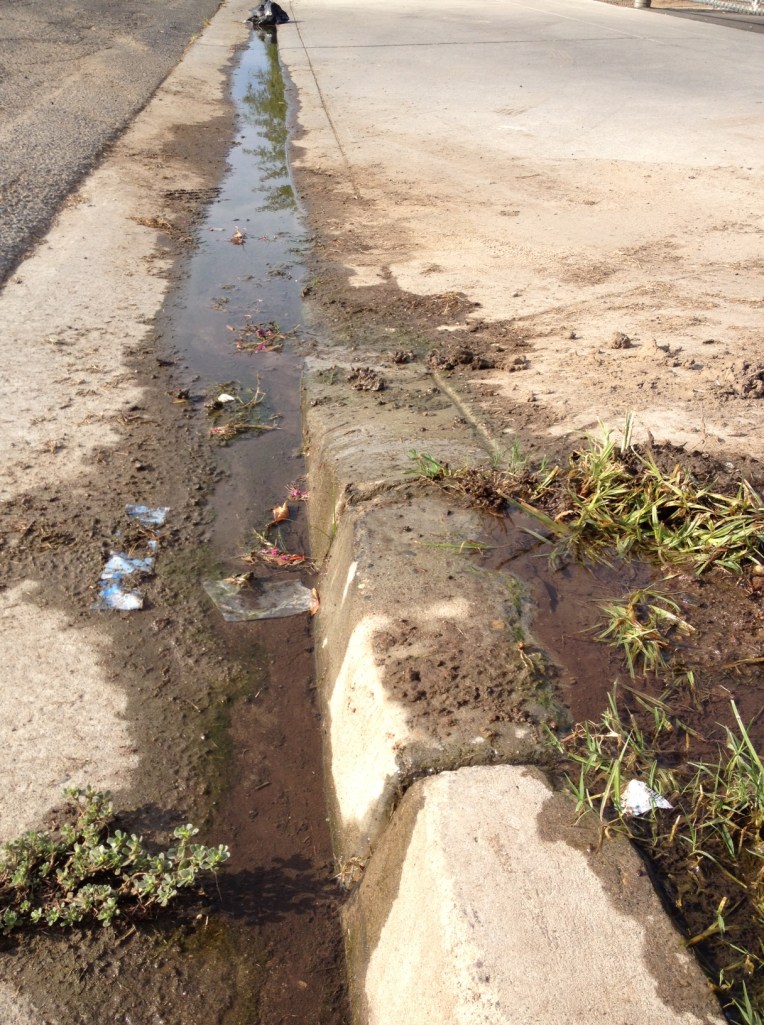 As of today, the broken sprinkler head on the SE corner of Cary Park continues to release water steadily into the gutter. It has been one week since I first noticed it, and it has been 5 days since the leak was reported to the city.